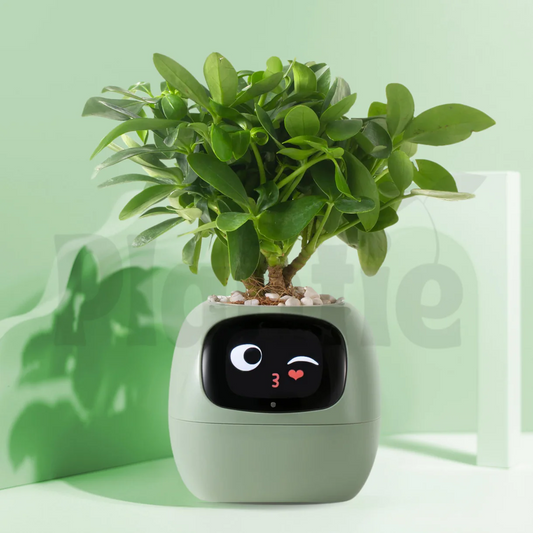 GrowMate Smart Pot
